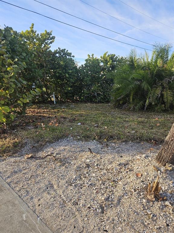 A patch of grass and shell-covered ground sits in front of dense green bushes — 251 WINSON AVENUE, ENGLEWOOD, FL