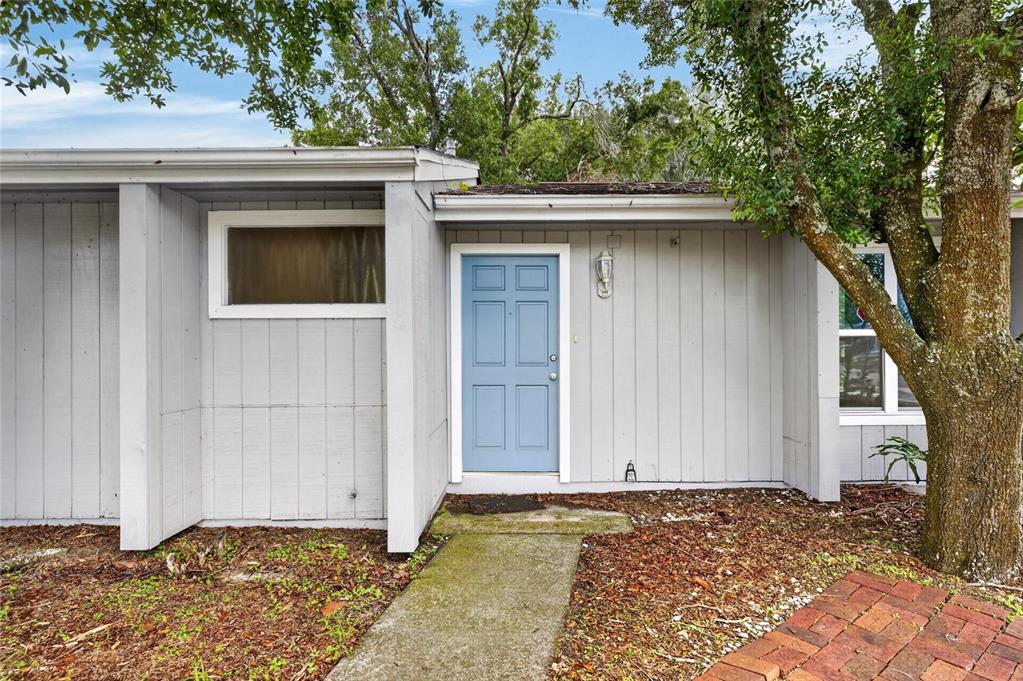 A light blue front door is centered on the gray vertical-siding exterior of a house — 5001 WHITEWAY DRIVE, TAMPA, FL