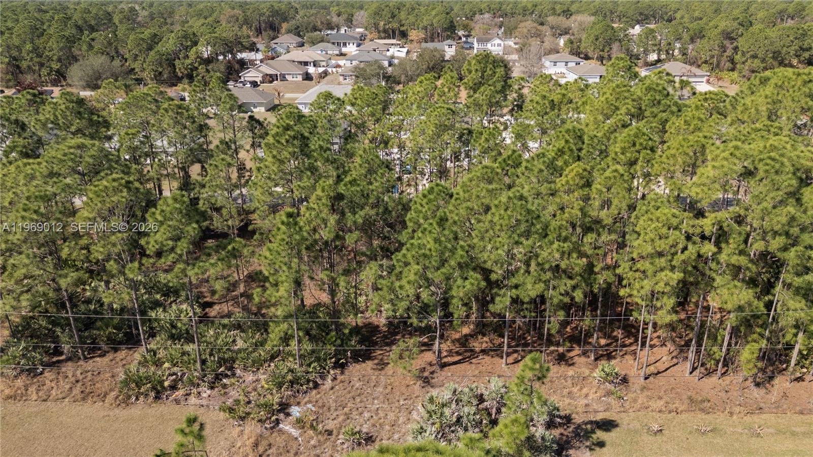 An aerial view shows a dense forest of pine trees bordering a residential neighborhood — 999 Cranberry Rd SE, Palm Bay FL 32909, PALM BAY, FL
