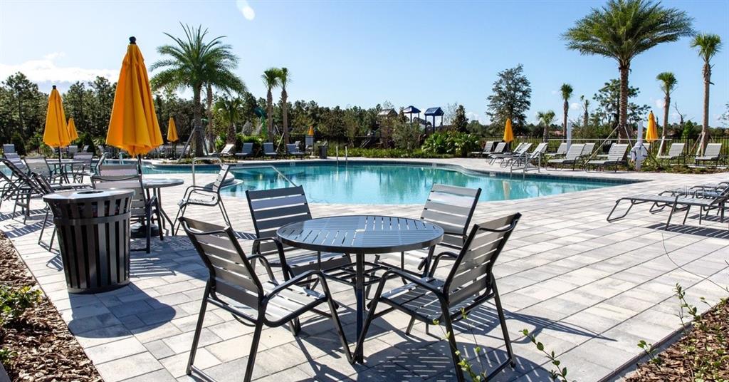 A swimming pool area with patio furniture, yellow umbrellas, and palm trees on a sunny day — 33183 HAPPY HEART DRIVE, WESLEY CHAPEL, FL