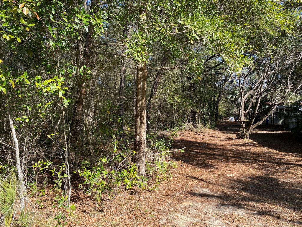 A wooded lot with a dirt path leading toward trees and distant structures — 2085 SW ALGIERS COURT, DUNNELLON, FL