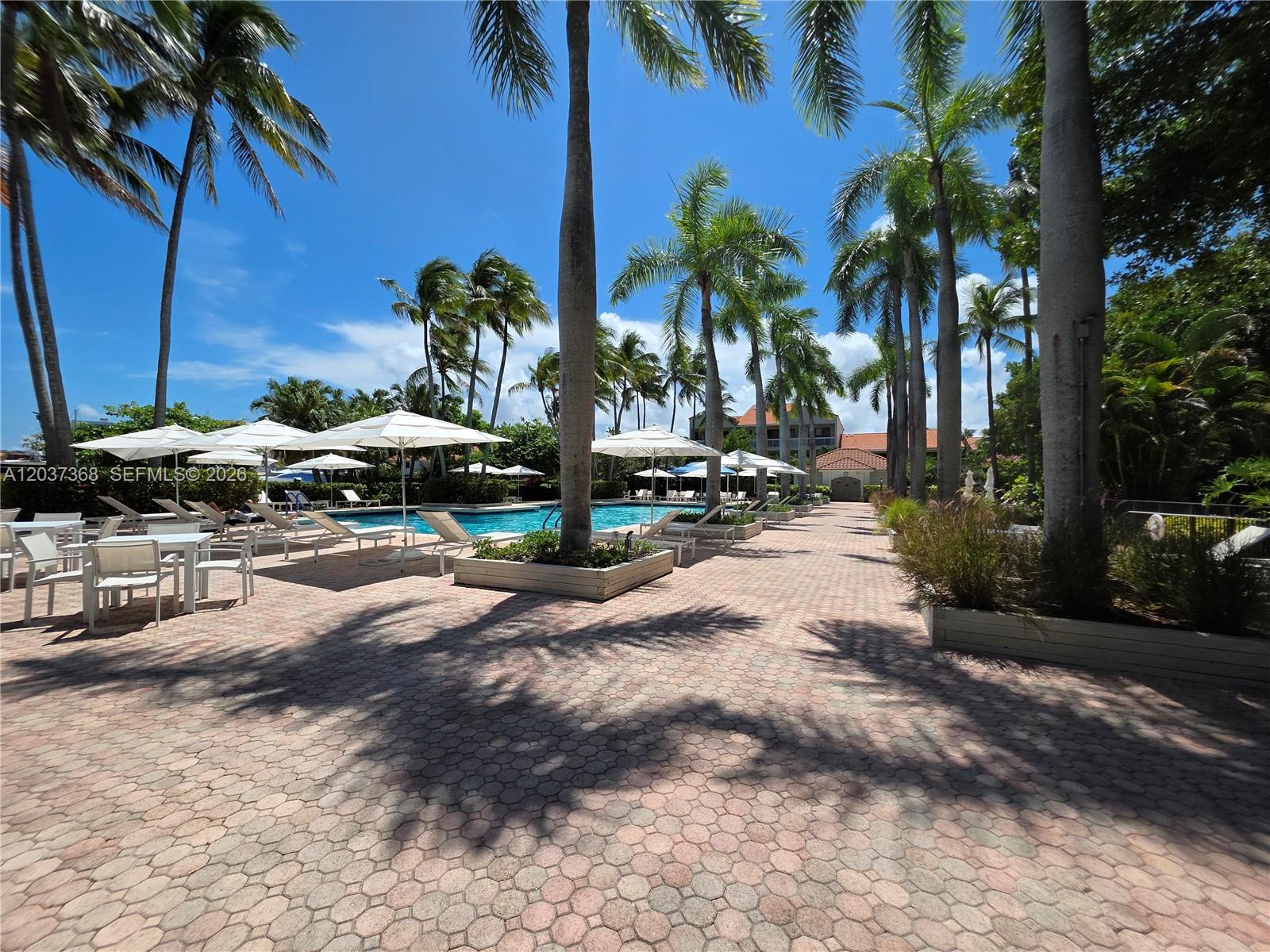 A paved pool deck features lounge chairs, white umbrellas, and numerous tall palm trees — AVENTURA, FL