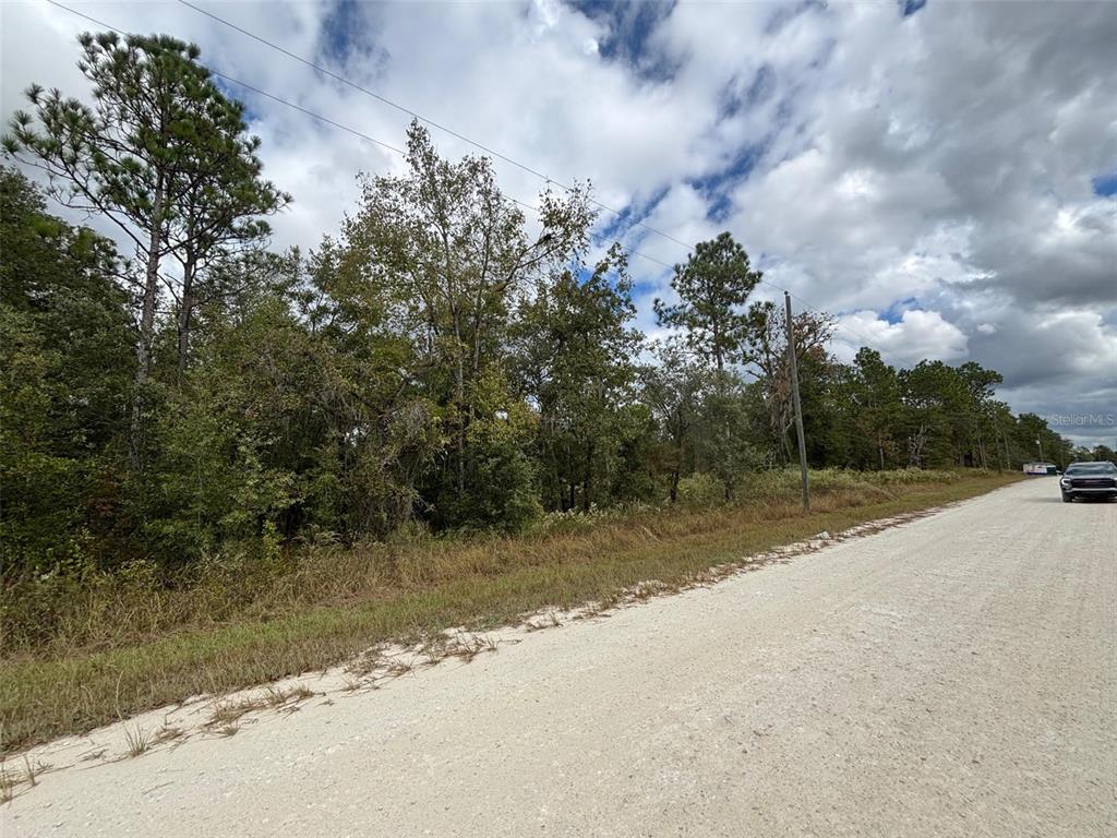 A dirt road runs alongside a wooded lot under a cloudy sky — Lot 11 RED MARLIN AVENUE, WEEKI WACHEE, FL