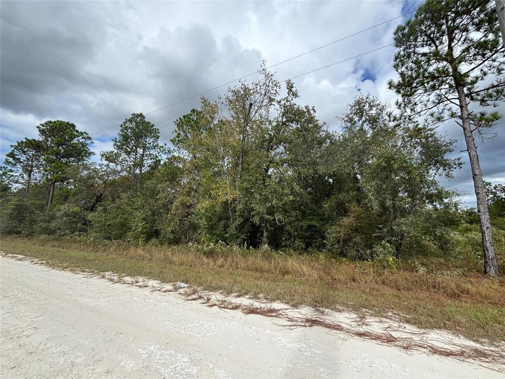 A dirt road runs alongside a dense line of trees under a cloudy sky — Lot 11 RED MARLIN AVENUE, WEEKI WACHEE, FL