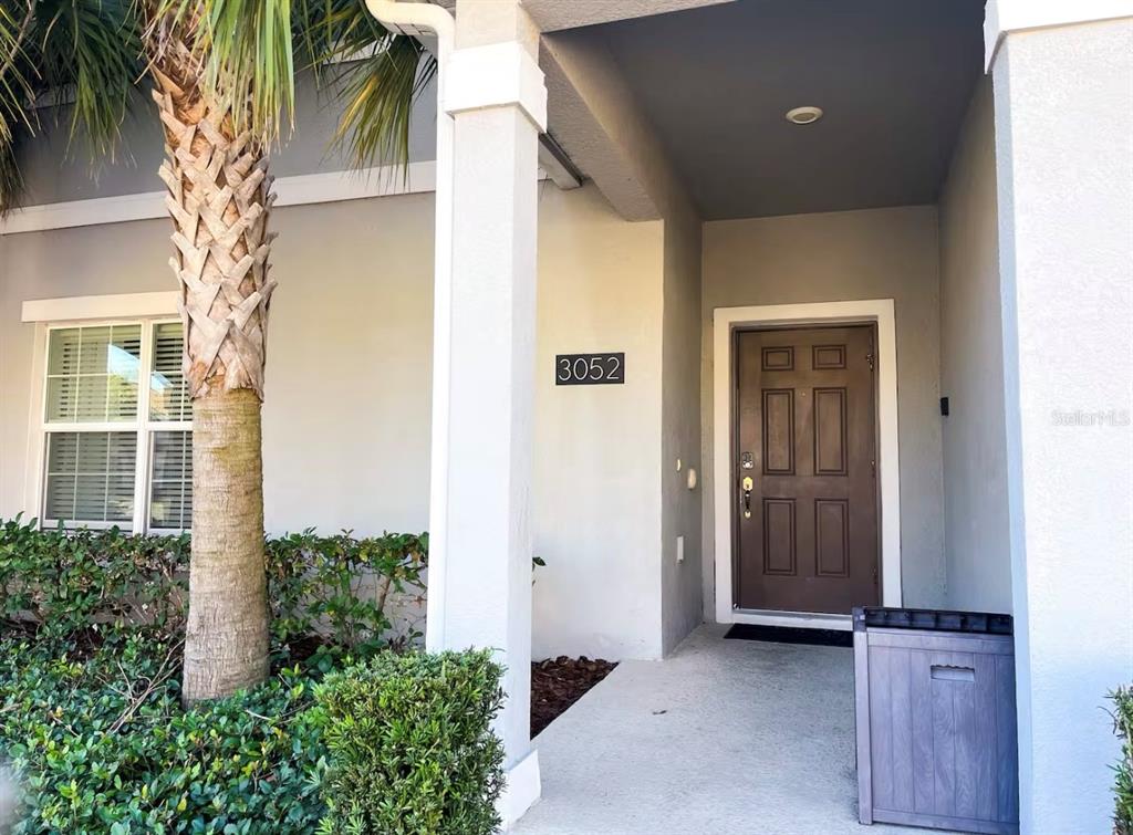 A palm tree stands beside the covered entryway of a house with a brown door — 3052 GATSBY STREET, KISSIMMEE, FL