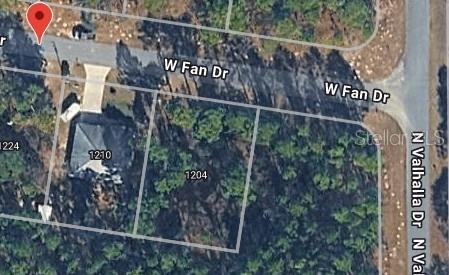 This is an aerial map view showing two adjacent residential lots on a street corner — 1204 W FAN DRIVE, CITRUS SPRINGS, FL