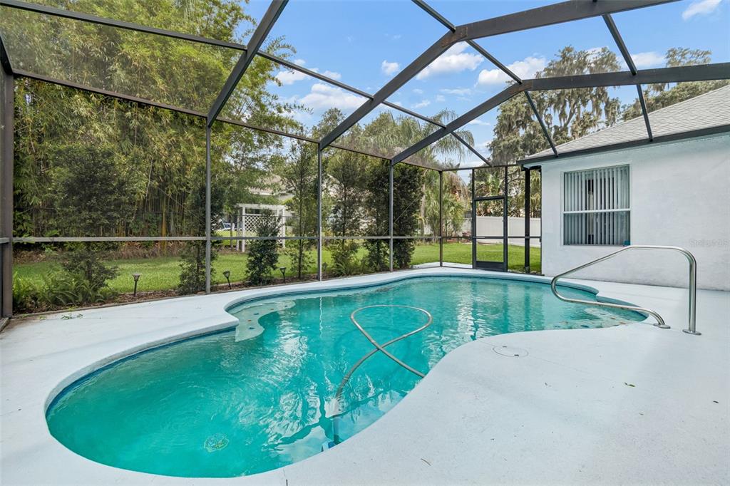 A screened-in swimming pool with a concrete deck sits beside a white house exterior — 2005 WEXFORD GREEN DRIVE, VALRICO, FL