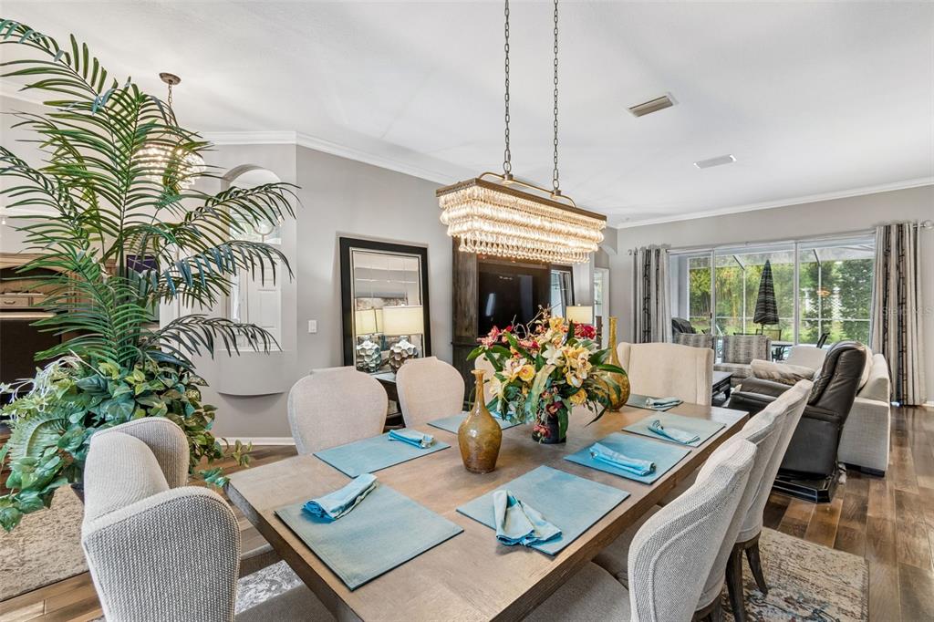 A dining room features a wooden table with blue placemats, upholstered chairs, and a crystal chandelier — 2005 WEXFORD GREEN DRIVE, VALRICO, FL