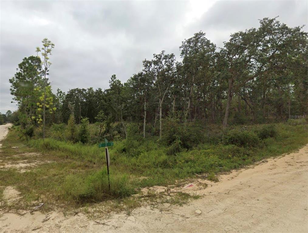 A wooded, undeveloped corner lot sits at the intersection of two dirt roads — TBD SE 148 AVENUE, WILLISTON, FL