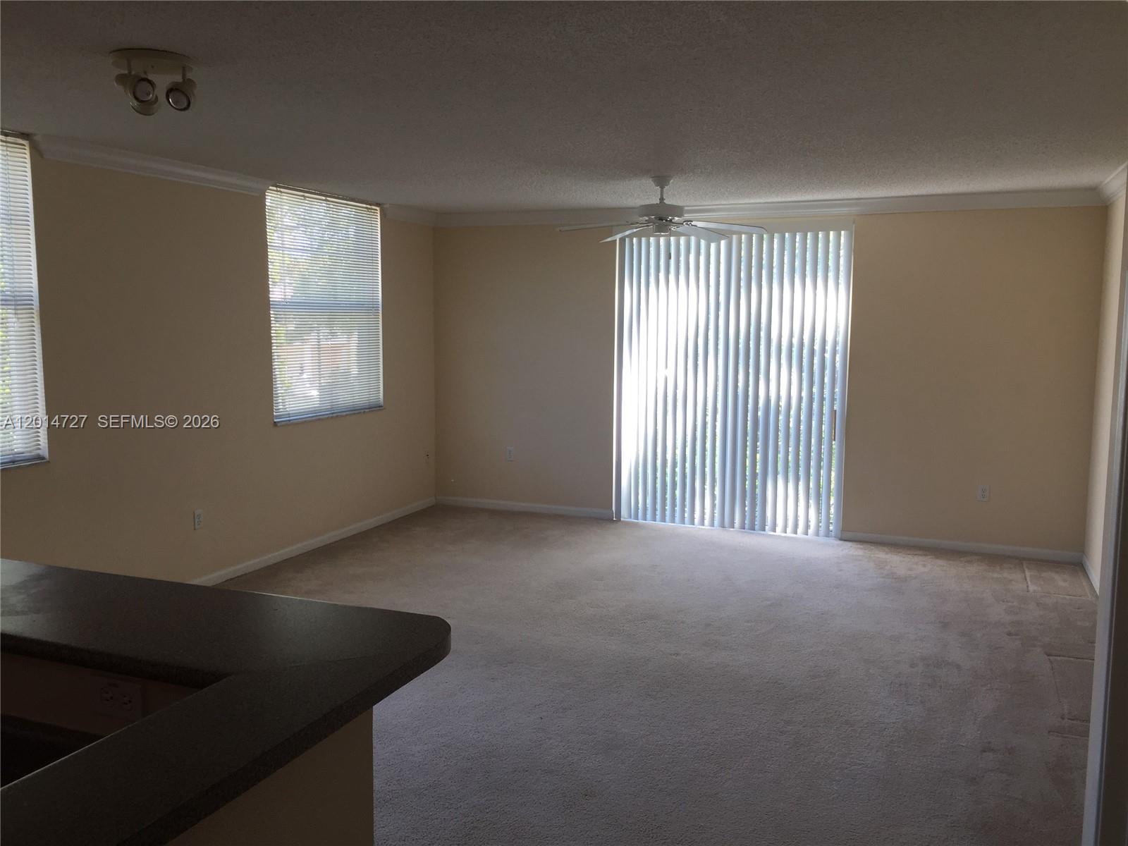 A hallway with beige carpet leads to a doorway opening into a carpeted room — 1900 Van Buren St # 214B, Hollywood FL 33020, HOLLYWOOD, FL
