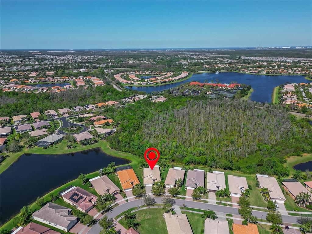 16135 CAPE CORAL DRIVE, WIMAUMA, FL — photo 5 of 30