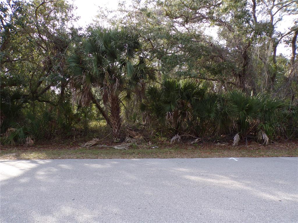 A paved road runs in front of a wooded lot with palm trees and vegetation — MAUKBACH TERRACE, NORTH PORT, FL