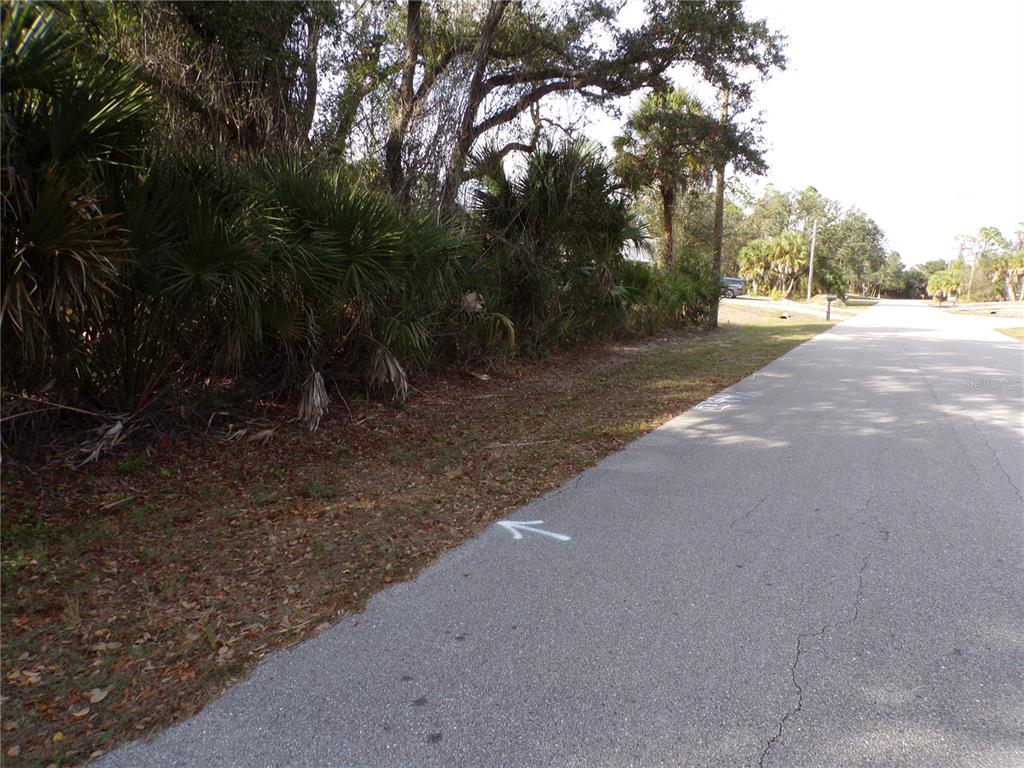 A paved road runs alongside a wooded lot with a white arrow painted on asphalt — MAUKBACH TERRACE, NORTH PORT, FL