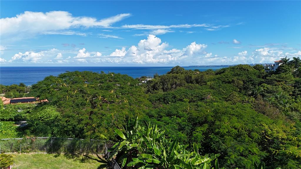 A view of a lush green landscape and trees overlooking the ocean under a blue sky — Km 4.4 CARR 413 PUNTAS, RINCON, PR