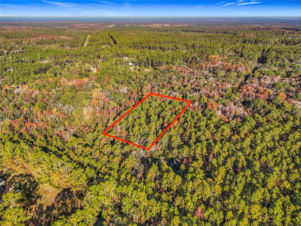 An aerial view shows a rectangular plot of land outlined in red amidst a forest — SW 6TH TERRACE, PALATKA, FL