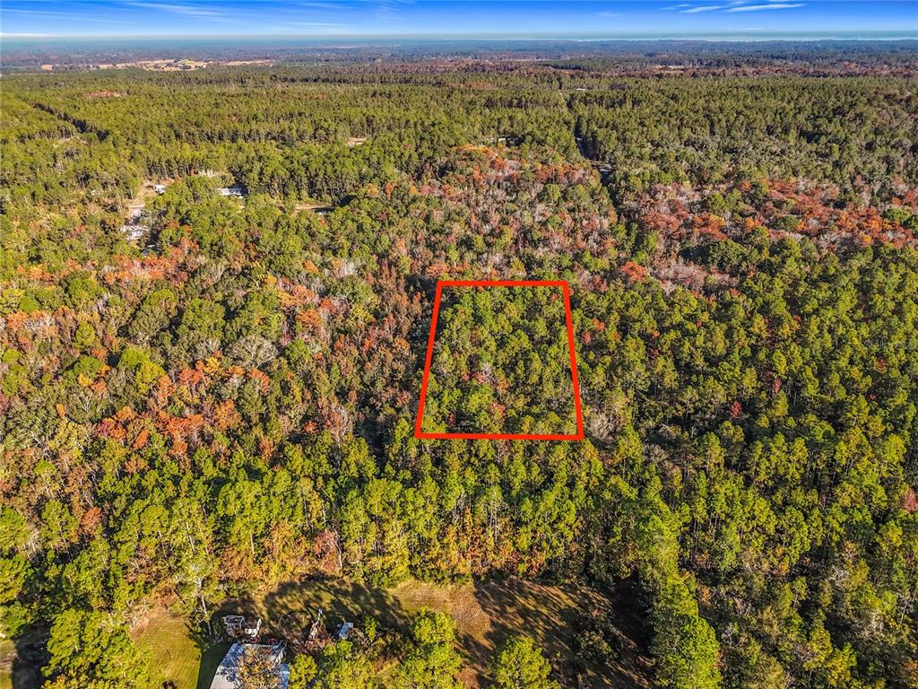 An aerial view shows a rectangular plot of land outlined in red amidst a forest — SW 6TH TERRACE, PALATKA, FL