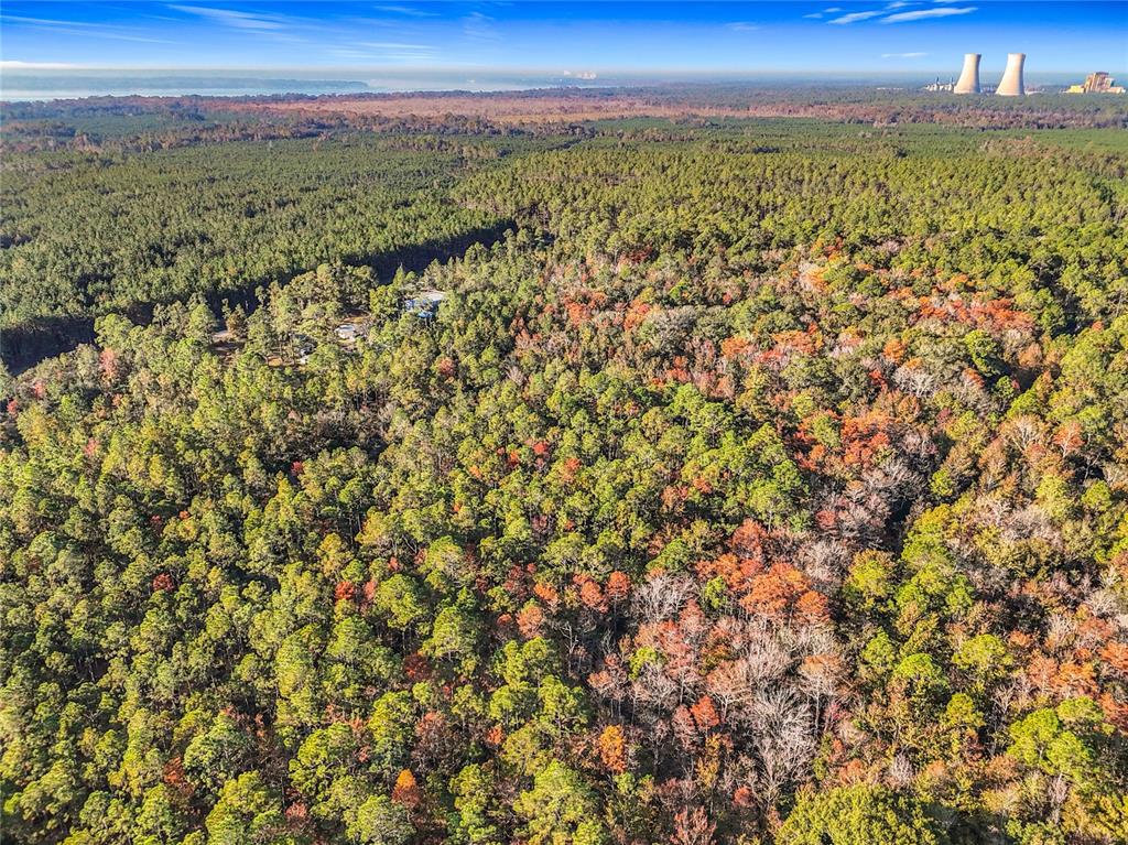 An aerial view shows a dense forest with a small residential property and distant cooling towers — SW 6TH TERRACE, PALATKA, FL