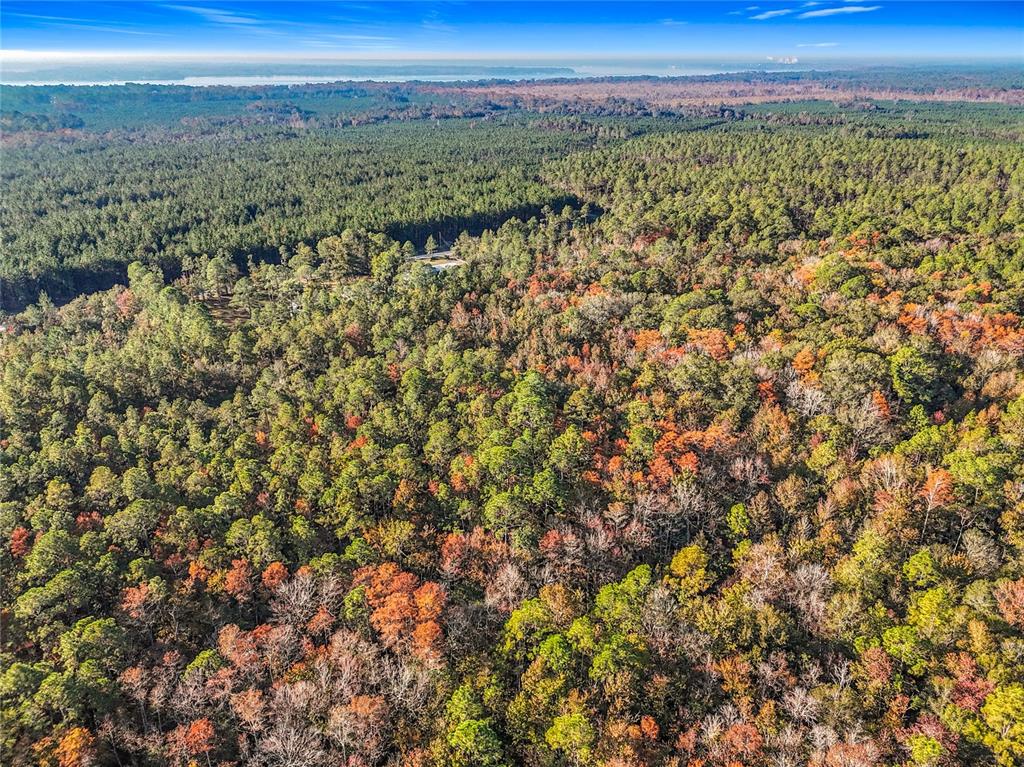 An aerial view shows a dense forest with patches of autumn foliage under a blue sky — SW 6TH TERRACE, PALATKA, FL