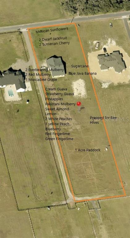 An aerial map shows a residential lot with text labels indicating various fruit trees and plants — 3063 ENGLISH ROAD, PLANT CITY, FL