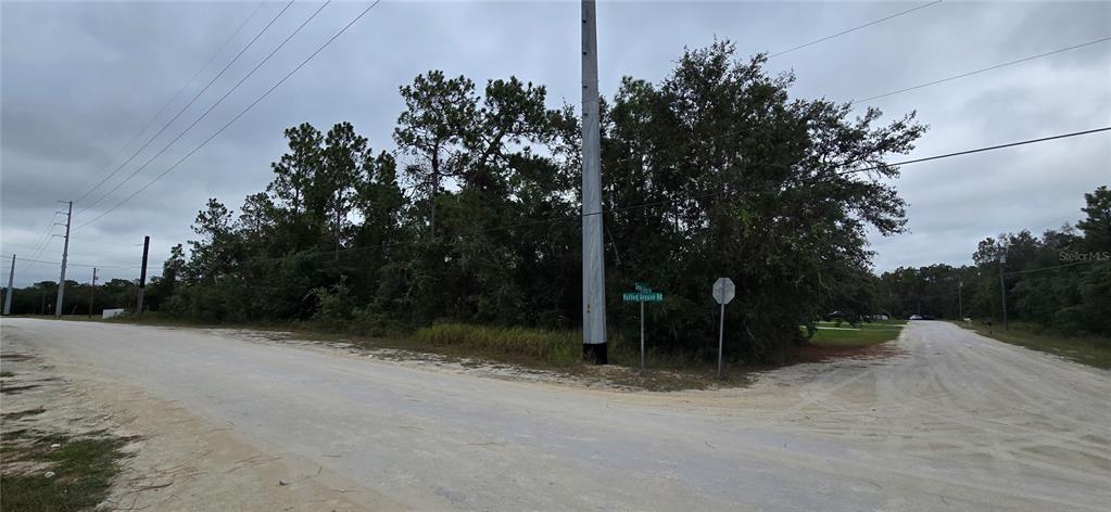 A dirt road intersection features a utility pole and dense trees under a cloudy sky — 13476 CANADA GOOSE ROAD, BROOKSVILLE, FL