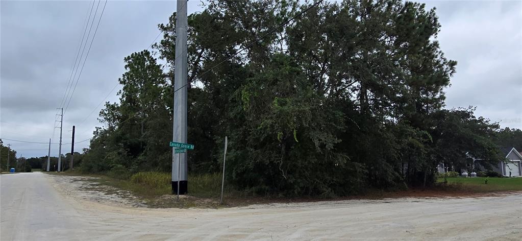 A corner lot with dense trees and a street sign at a gravel intersection — 13476 CANADA GOOSE ROAD, BROOKSVILLE, FL