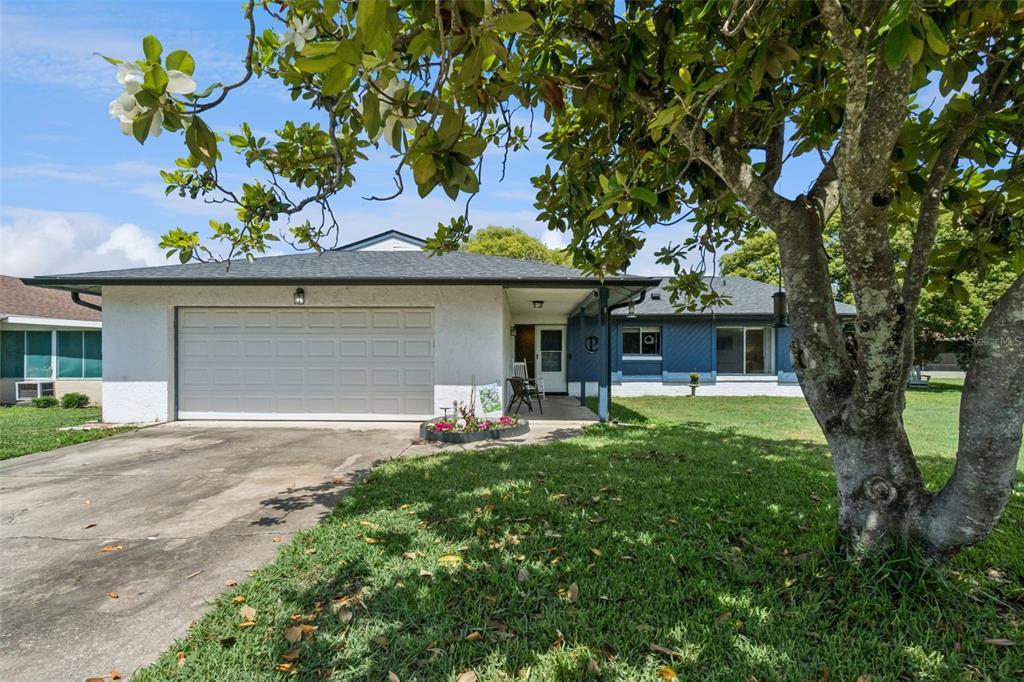 A single-story house with a white garage, blue siding, and a large tree in front — 10044 GARRISON LANE, ORLANDO, FL