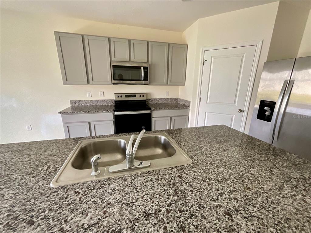 A kitchen features gray cabinets, granite countertops, a stainless steel microwave, and a double-basin sink — 33409 FIELD MAPLE LOOP, WESLEY CHAPEL, FL