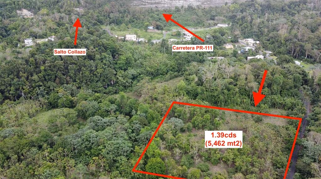 An aerial view shows a large, rectangular plot of land outlined in red near trees — BO. CIDRAL PR-450, SAN SEBASTIAN, PR