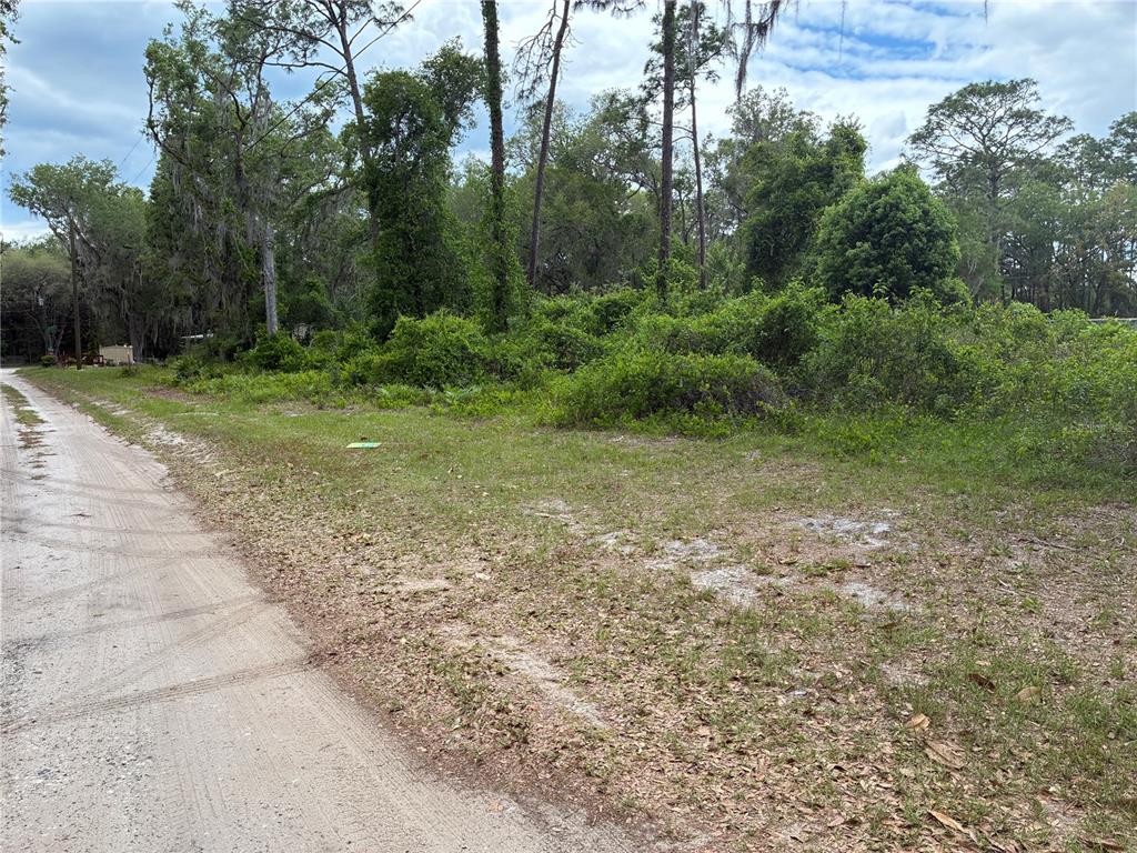 A dirt road runs alongside a vacant, overgrown lot with trees and shrubs — 00 SE 87 STREET, OCKLAWAHA, FL