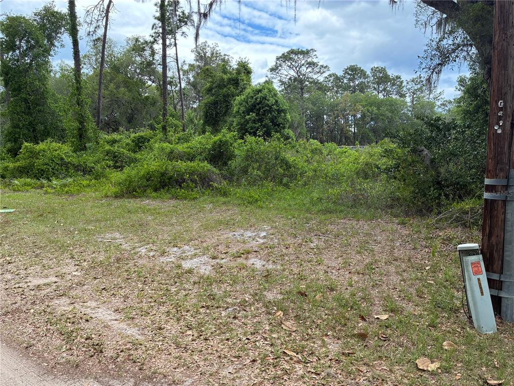 A vacant, wooded lot features dense vegetation and a utility pole in the foreground — 00 SE 87 STREET, OCKLAWAHA, FL
