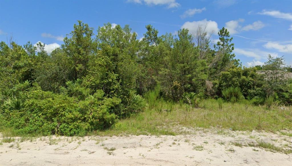A vacant, wooded lot with sandy ground under a blue sky with scattered clouds — 3125 HYDER AVENUE, DELTONA, FL
