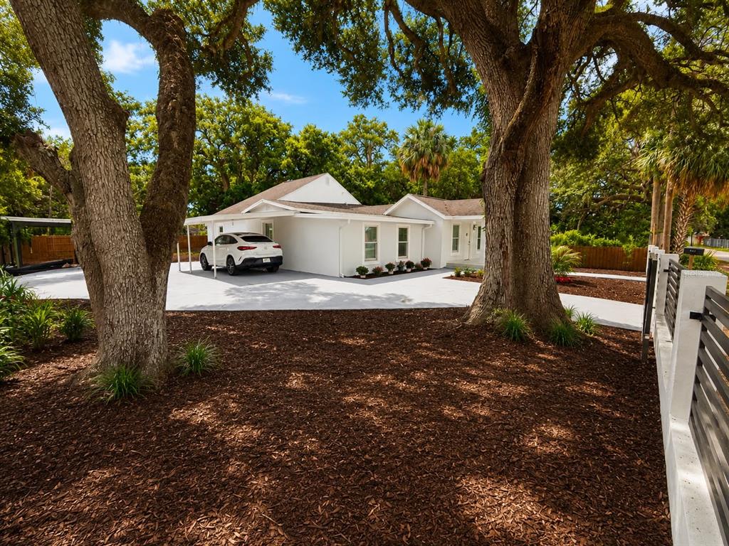 A white single-story house with a carport and driveway sits behind large oak trees — 4311 N 25TH STREET, TAMPA, FL
