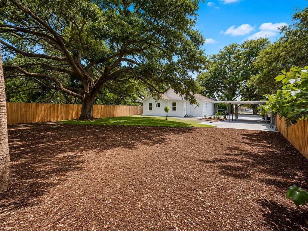 A large, grassy backyard features a mature oak tree and a white house with fencing — 4311 N 25TH STREET, TAMPA, FL