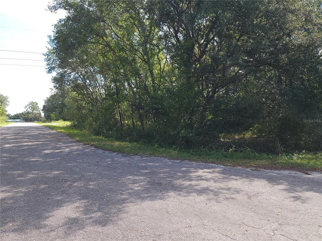 A paved road runs alongside a wooded lot with dense trees and vegetation — Lot 20 SE FISHER LANE PASS, OCKLAWAHA, FL