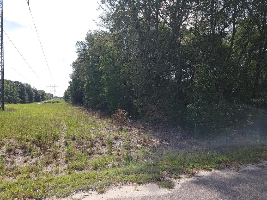 A grassy, undeveloped lot borders a dense line of trees next to a paved road — Lot 20 SE FISHER LANE PASS, OCKLAWAHA, FL