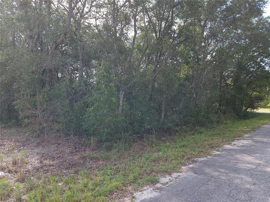 A paved road runs alongside a wooded lot with dense trees and underbrush — Lot 20 SE FISHER LANE PASS, OCKLAWAHA, FL