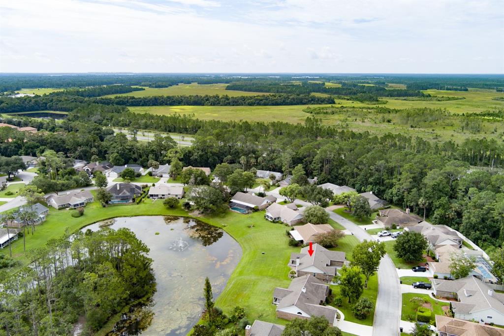 An aerial view shows a suburban neighborhood with houses surrounding a pond and green space — 18 CARRIAGE CREEK WAY, ORMOND BEACH, FL