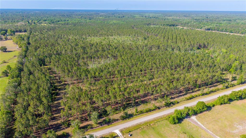 An aerial view shows a large pine forest bordering a paved road and open fields — TBD NW 57TH LANE, STARKE, FL