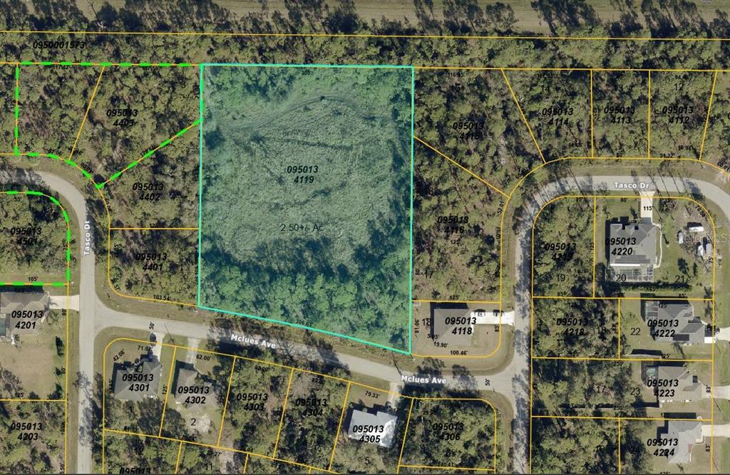 This is an aerial map showing a large, undeveloped parcel of land outlined in blue — MCLUES AVENUE, NORTH PORT, FL