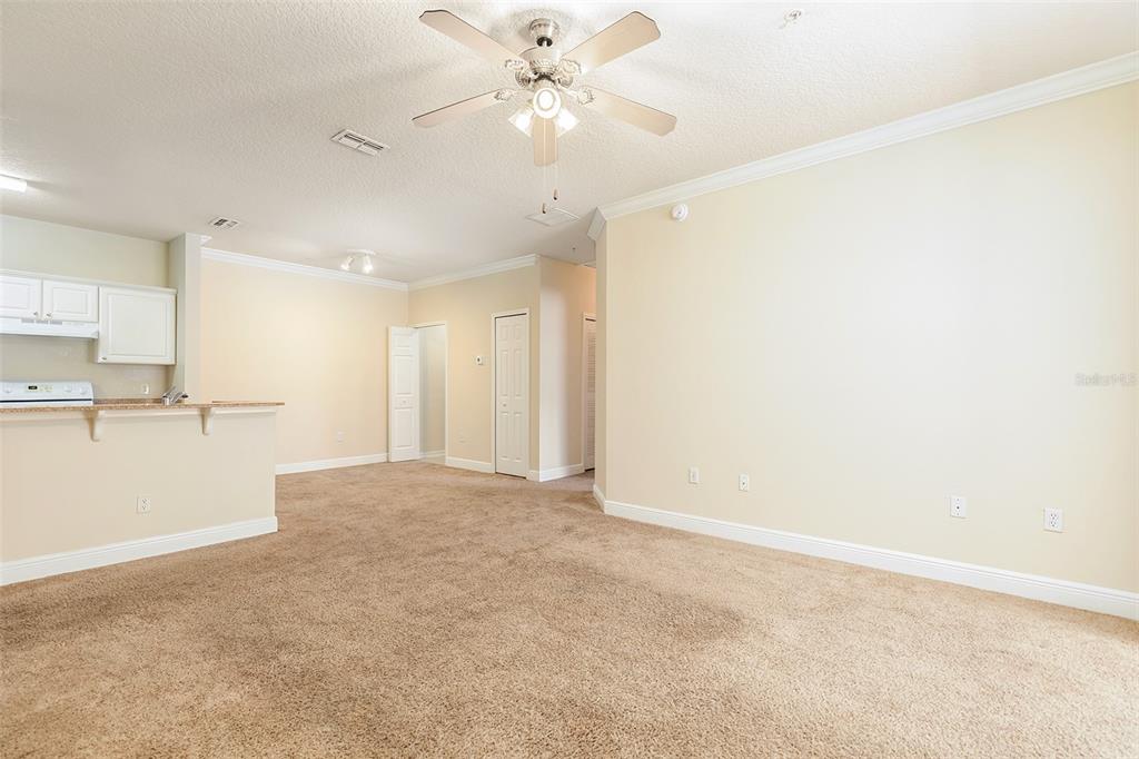 A carpeted living room with a ceiling fan and an adjacent kitchen with white cabinets — 417 SOUTHERN PECAN CIRCLE UNIT 202, WINTER GARDEN, FL