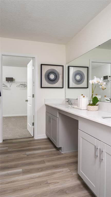 A bathroom with a double vanity, gray cabinets, light countertops, and an open walk-in closet — 9255 ORCHARD PARK LANE, ZEPHYRHILLS, FL
