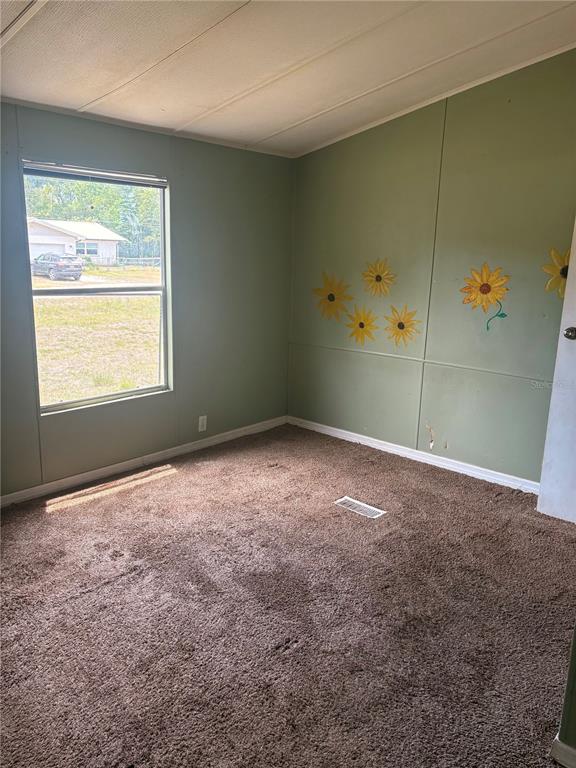 A bedroom with green walls, sunflower decals, brown carpet, and a window overlooking a yard — 7810 W TWIN CANAL LANE, HOMOSASSA, FL