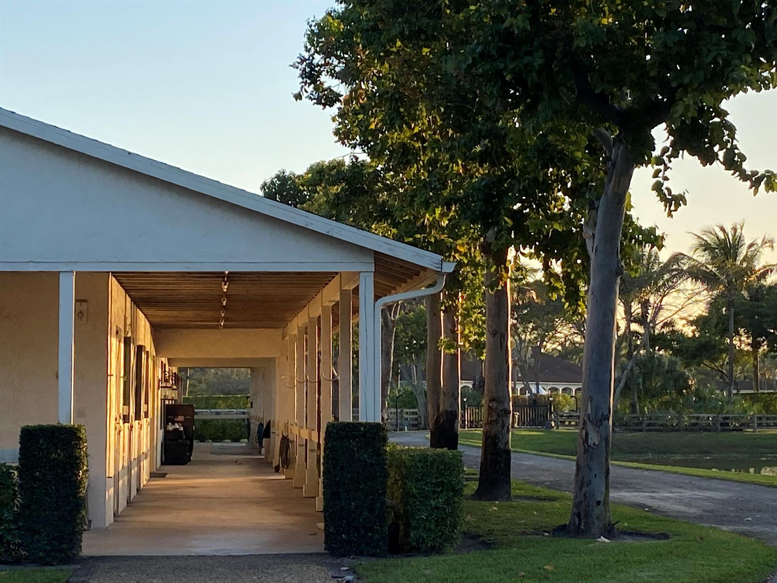 A covered walkway runs along the side of a white building next to tall trees — 5110 S Shore Boulevard, Wellington FL 33449, WELLINGTON, FL