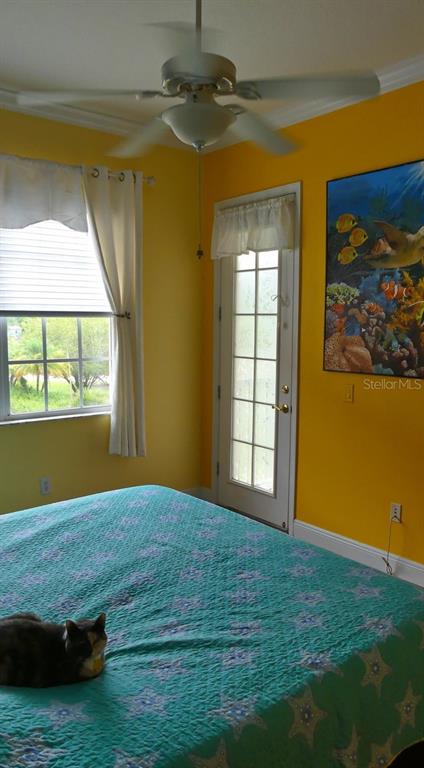 A bedroom with yellow walls, a ceiling fan, a glass-paneled door, and a cat — 6801 DALI AVENUE UNIT 206, LAND O LAKES, FL