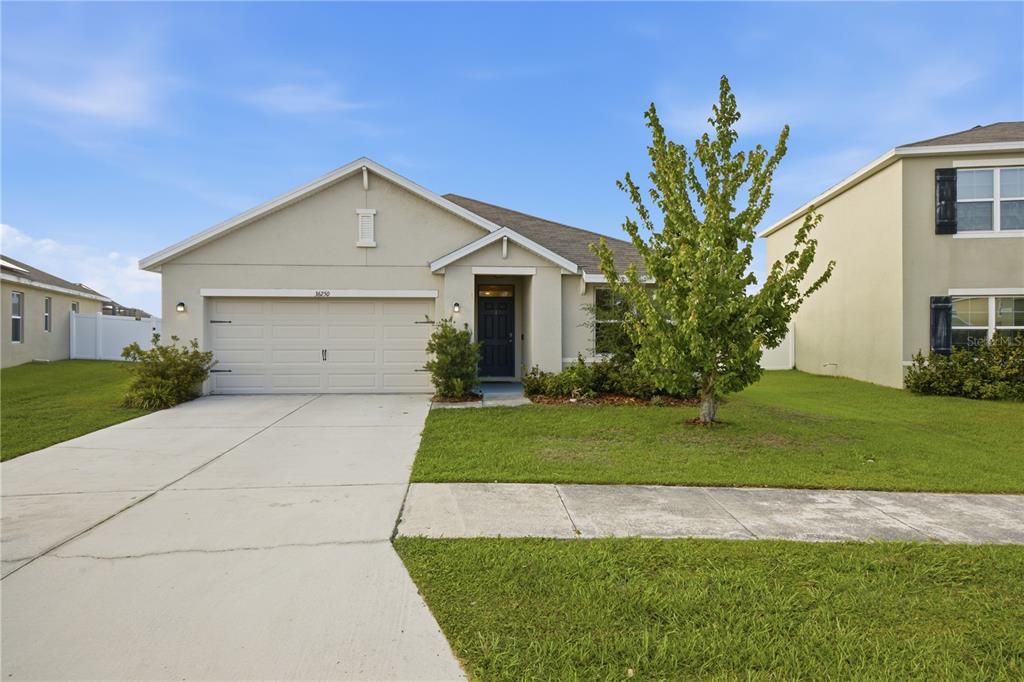 A single-story suburban house with a two-car garage, light stucco exterior, and a front lawn — 36250 JENNY LYNNE DRIVE, ZEPHYRHILLS, FL