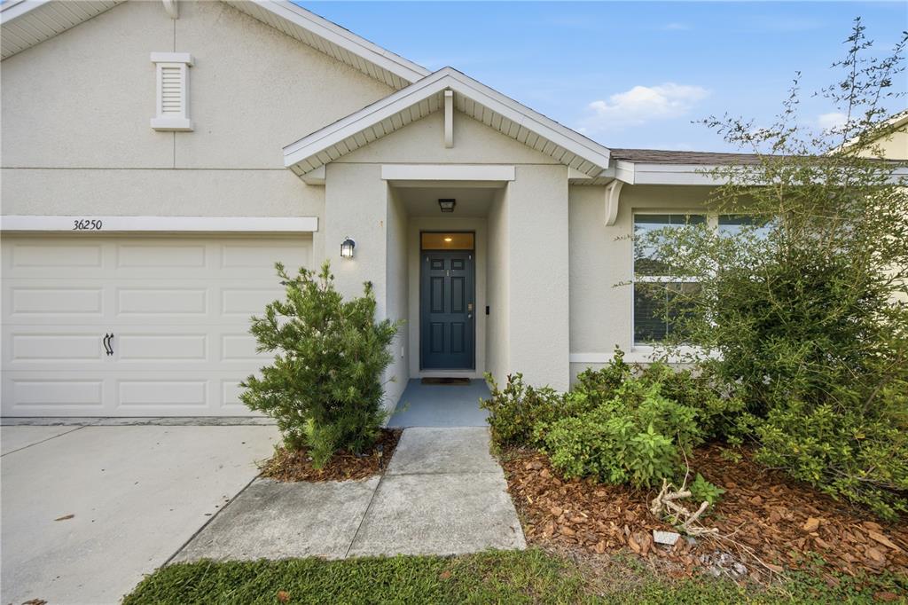 The exterior view shows a single-story house with a garage, a front door, and landscaping — 36250 JENNY LYNNE DRIVE, ZEPHYRHILLS, FL