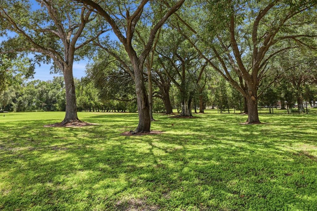 A grassy yard with several large, mature oak trees under a clear blue sky — 4917 SE BROWN ROAD, ARCADIA, FL