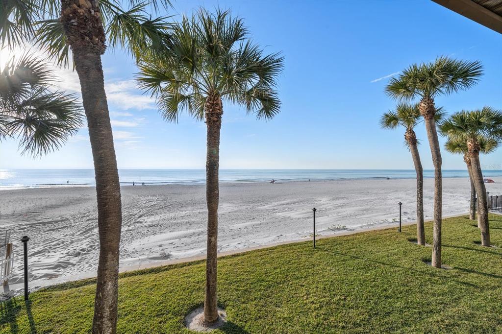 A view of a sandy beach and ocean from a grassy lawn with palm trees — 60 GULF BOULEVARD UNIT 201, INDIAN ROCKS BEACH, FL