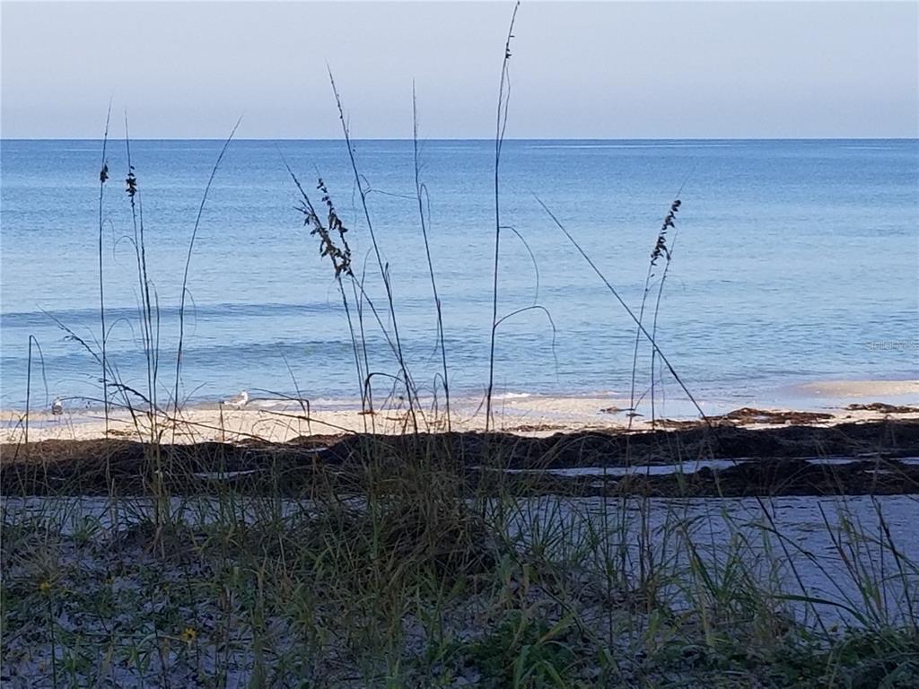 Tall sea oats grow in the foreground of a sandy beach overlooking the blue ocean — 60 GULF BOULEVARD UNIT 201, INDIAN ROCKS BEACH, FL