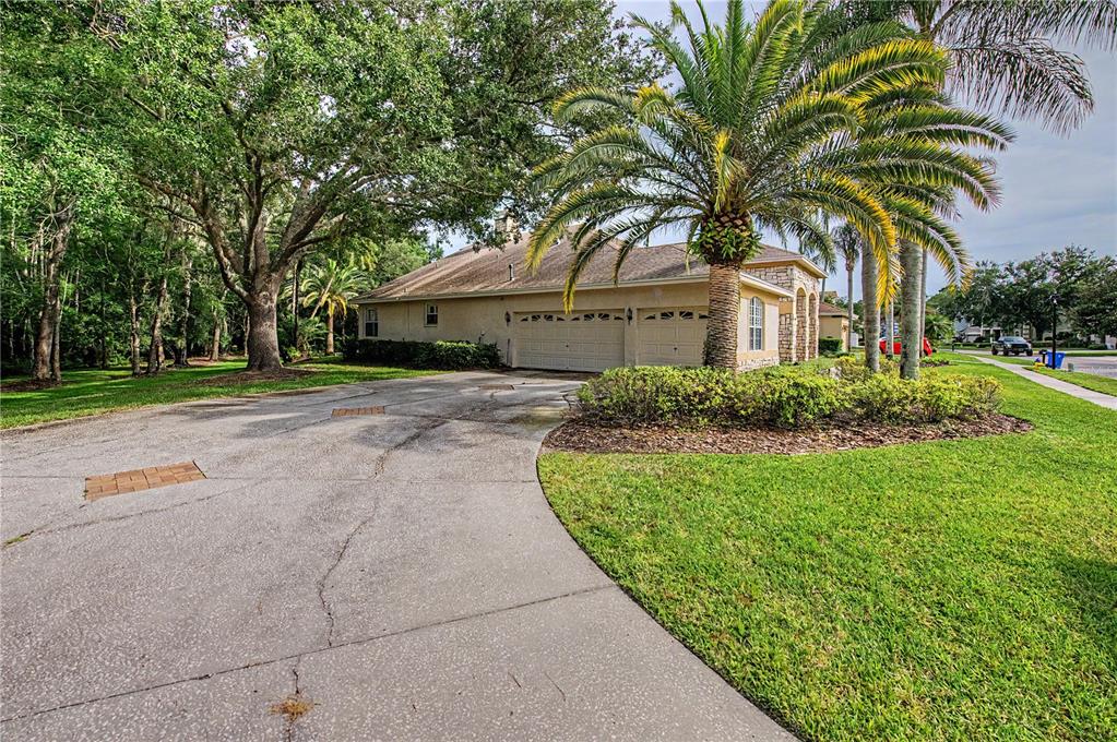 A paved driveway leads to the side-entry garage of a house with a palm tree — 18615 CHEMILLE DRIVE, LUTZ, FL